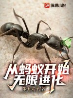  从蚂蚁开始无限进化